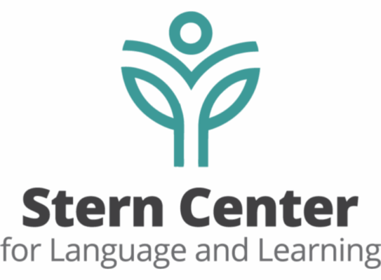 stern center logo